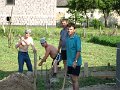 Vystavba   36